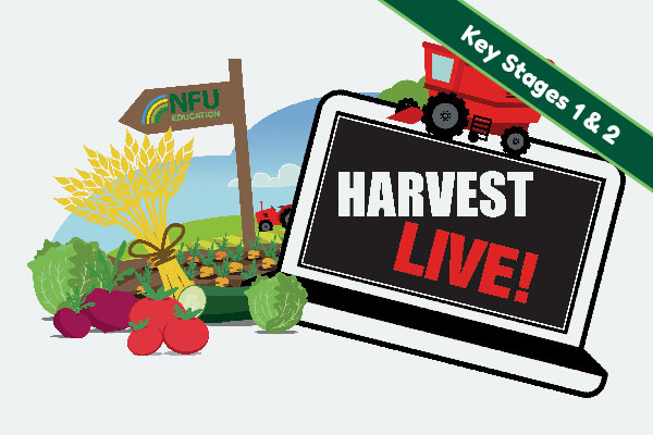 Harvest LIVE!